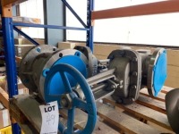 Pallet of 2 IOC Gate Valves