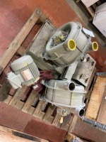Two Lamson centrifugal pumps