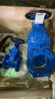 Two valves
