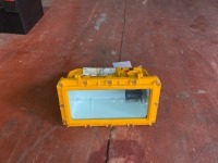CEAG floodlight