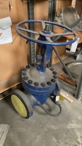 Valve DM200