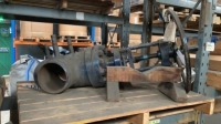 Hopkinsons valve