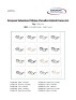 Bundle of Philippe Chevallier optical frames (Quantity: 608)