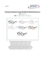 Bundle of Serge Kirchhofer optical frames (Quantity: 429)