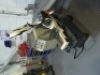 Optimum S181 horizontal bandsaw - 5