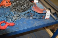 ACE 1 ton chain block (Bay3)