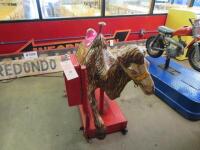 Camel