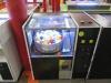 Coin Roulette