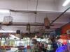 Ceiling Items - 5