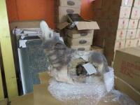 Wolves Figurines