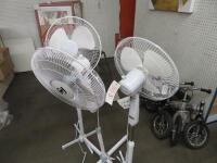 Fans