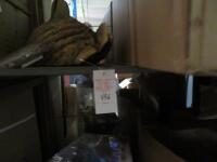 Rack and Contents