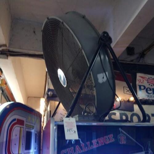Fan