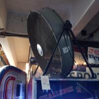 Fan