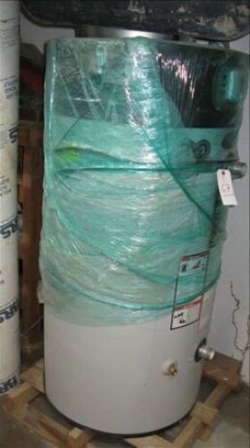NEW Bradford White Ecomagnum 60 gal gas water heater, m/n EF60T125E3N2 *** PLEASE NOTE: This lot is offered subject to bulk bid offer on lot 118